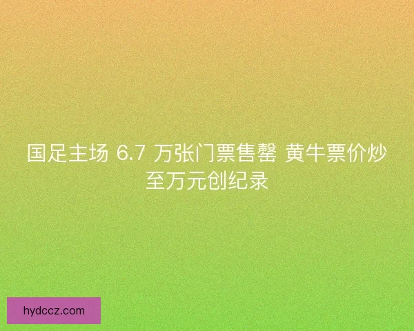 国足主场 6.7 万张门票售罄 黄牛票价炒至万元创纪录